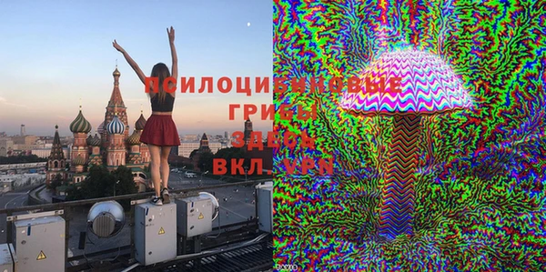 шишки Дмитров