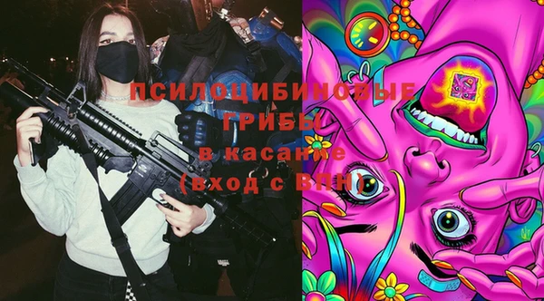 кокс Дмитриев