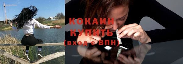 кокс Дмитриев