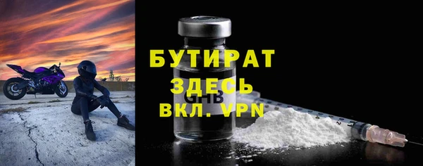 шишки Дмитров