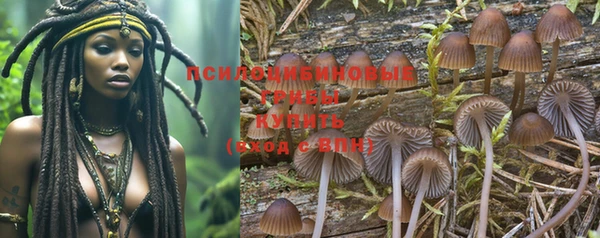 шишки Дмитров