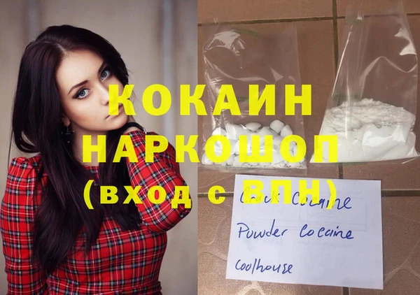 шишки Дмитров