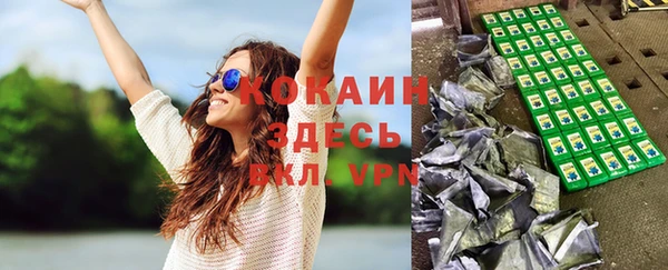 кокс Дмитриев