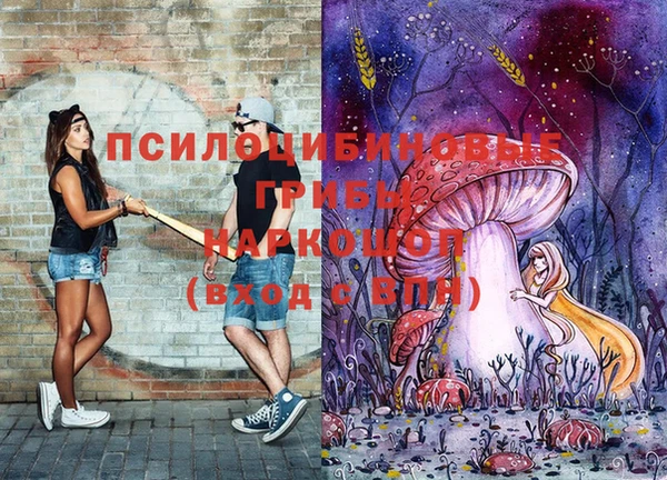 кокс Дмитриев