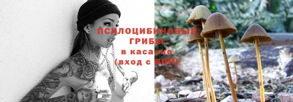 шишки Дмитров