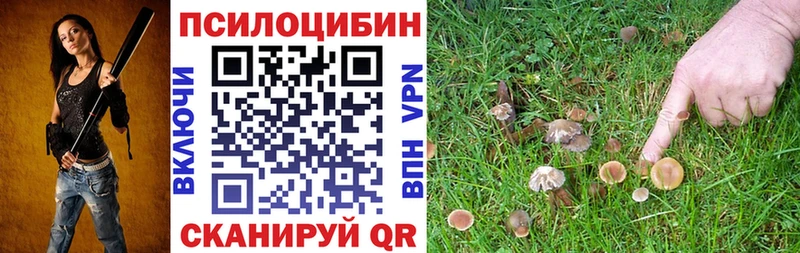 mega вход  Болхов  Псилоцибиновые грибы GOLDEN TEACHER 